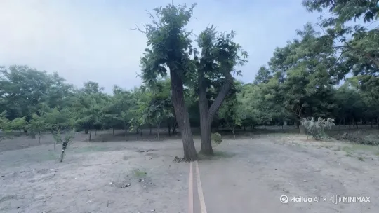让画面里的树自然流畅的变成七彩凤凰飞向远方消失不见，要求其他背景不变，凤凰逼真生动 by Hailuo AI Video Generator