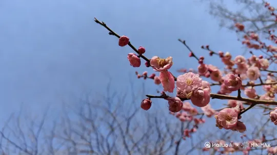 [左移,上升] by Hailuo AI Video Generator