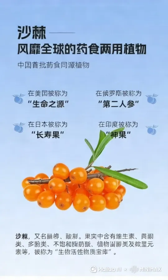  by Hailuo AI Video Generator
