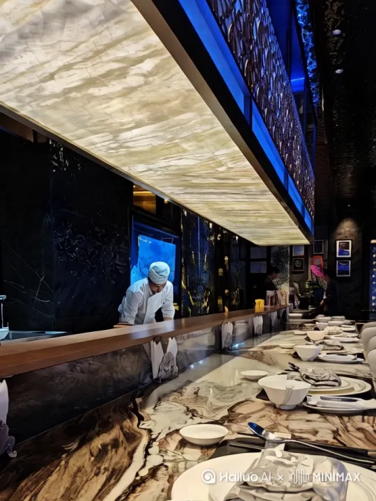 这是一个人均400的高档日料餐厅，今天就你一个就餐。按照图片生成一个视频，表达这里的富丽堂皇，以及你仿佛包场一样的奢侈。 by Hailuo AI Video Generator