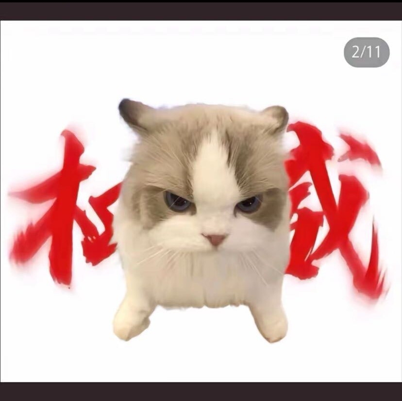 video original by Hailuo AI Video Generator