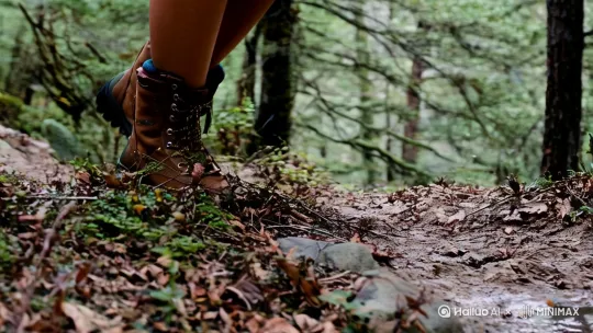 画面特写：穿着一双高帮登山鞋在行走着，那是一双充满力量的脚，每一步都坚定地踏在山林的土地上在与粗糙的岩石和泥土亲密接触，镜头右移正面特写：[右移,左摇,跟随]脚下踏过荆棘密布杂草丛生的小径，有画面枯叶沾着了鞋面；有画面鞋踩上水畦溅出水花，这双脚带着无畏与勇气，向着未知的山林深处迈进。 by Hailuo AI Video Generator