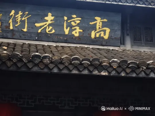  by Hailuo AI Video Generator