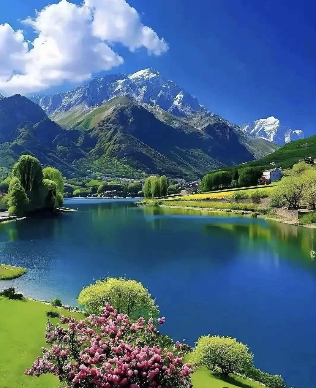 video original by Hailuo AI Video Generator