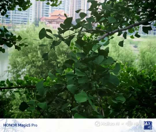  by Hailuo AI Video Generator