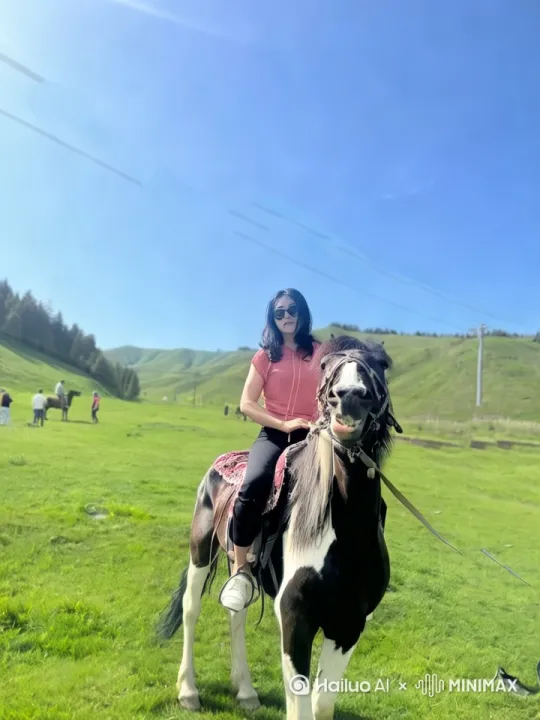  by Hailuo AI Video Generator