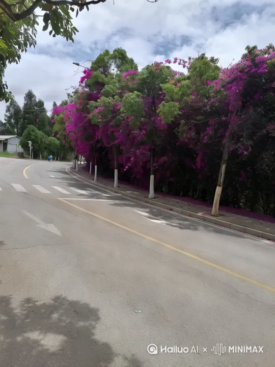  by Hailuo AI Video Generator