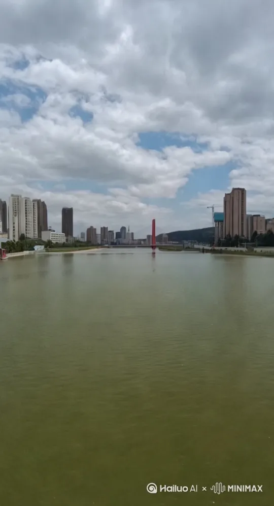 电影感实拍画风，俯拍视角，一条鲸鱼从满是波浪的海里穿梭而出来，激起很大的水花。[左移,右摇,跟随] by Hailuo AI Video Generator
