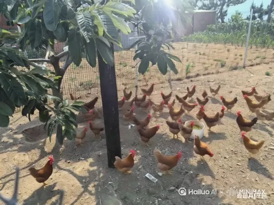  by Hailuo AI Video Generator