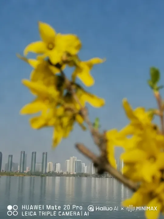 by Hailuo AI Video Generator