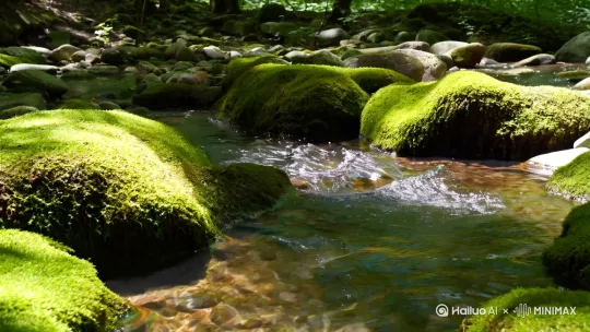 泉眼无声惜细流 by Hailuo AI Video Generator