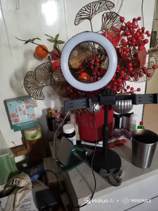  by Hailuo AI Video Generator