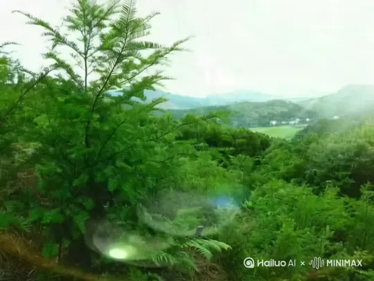  by Hailuo AI Video Generator