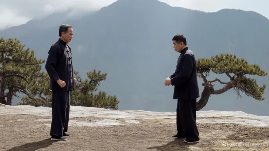 两个中国绝世高手在山上对打咏春拳，拳拳到肉 by Hailuo AI Video Generator