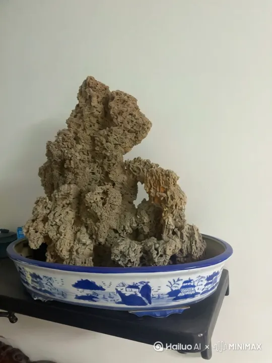 这是一个在海里的珊瑚虫附近有很多小伙伴他的生活很快乐有很多的人是他的朋友生活不是那么完美，但是他过得很开心，每个人的结局都是一样的吧但重要的就在结果的过程中 by Hailuo AI Video Generator