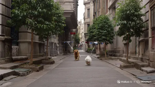 上海的一个老弄堂里，小路的两边种着法国梧桐，树叶是绿色的，一只金毛狗，从胡同深处走来，它的狗绳由一架无人机牵着，无人机在狗的后上方跟着飞。这时，从胡同口向着胡同深处也走来一只小狗，是白色的泰迪狗，它的狗绳也是由一架无人机牵着，无人机飞在它的侧后方。两只狗在胡同中间相遇了，它们先是互相看见，然后对着叫唤，然后跑到一块要打架，牵着它们的狗绳的无人机，各自向后飞，使劲试图把它们拉远，但是又有点拉不动。 by Hailuo AI Video Generator