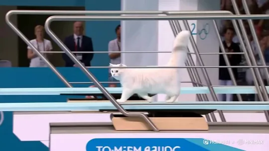  by Hailuo AI Video Generator