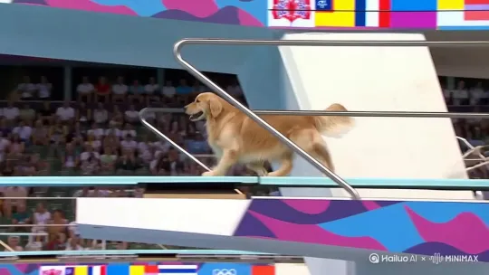  by Hailuo AI Video Generator