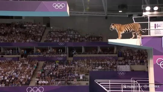  by Hailuo AI Video Generator
