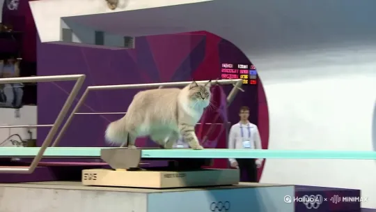  by Hailuo AI Video Generator