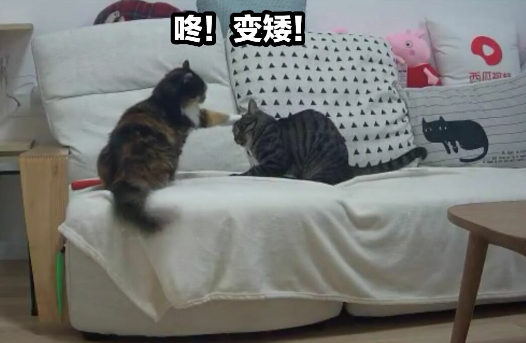 video original by Hailuo AI Video Generator