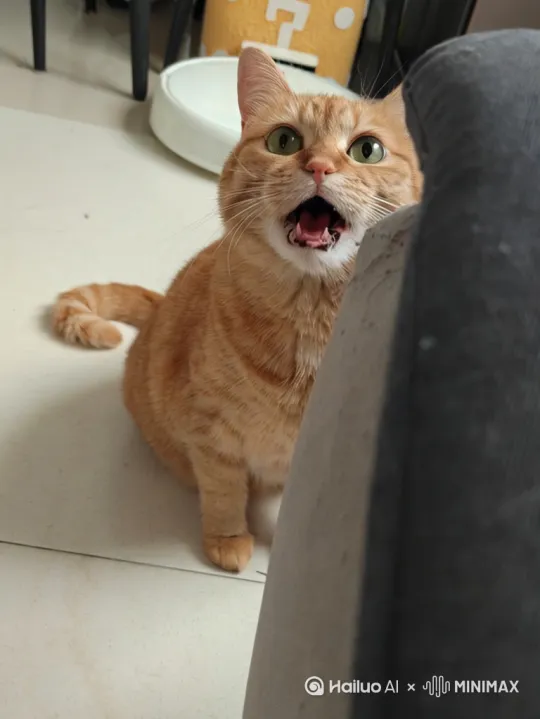 画面是复古小游戏，图中的黄色猫咪在画面底部左右移动，张嘴接住从屏幕顶部缓缓下落的各种美味的肉类食物，比如烤牛排，烤鸡，炸鸡腿，红烧肉等等。每次猫咪接到食物的时候播放咀嚼动画，满足的表情 by Hailuo AI Video Generator