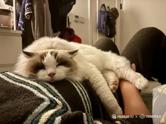 照片中躺着猫睁开了眼睛，给自己戴上了眼罩，又接着睡去了 by Hailuo AI Video Generator