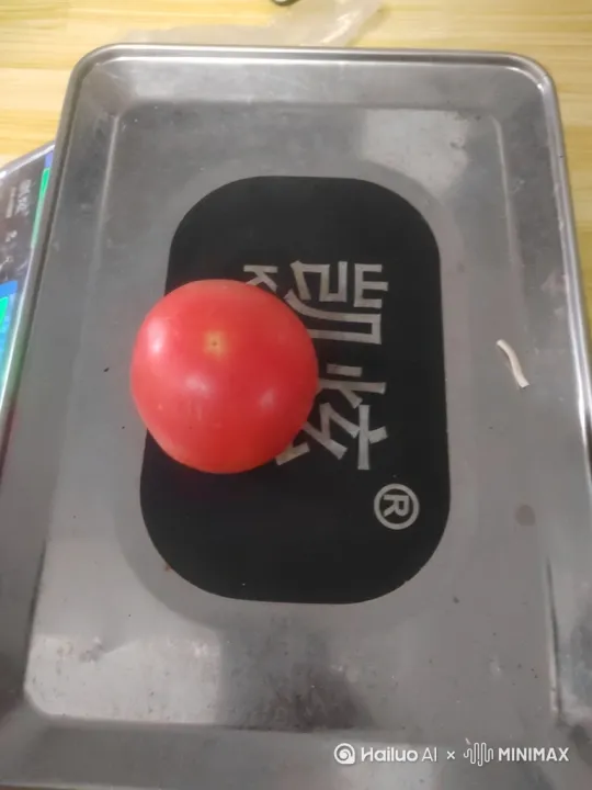 [左移,右摇,跟随] by Hailuo AI Video Generator