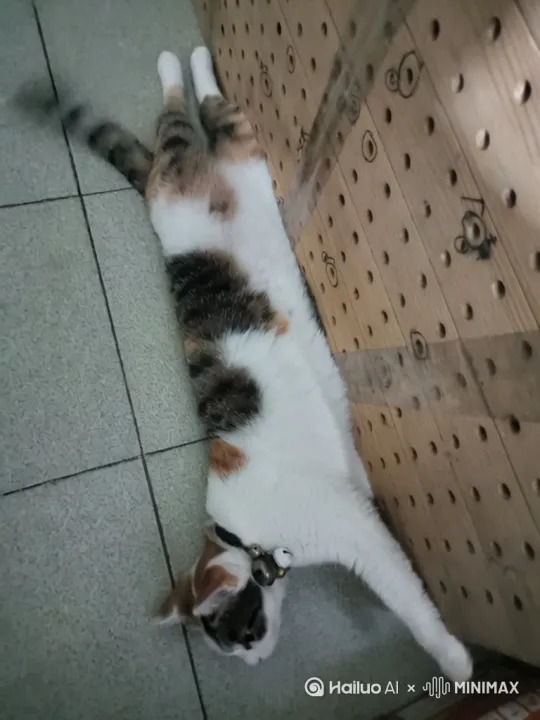 右移,左摇,跟随]跳水比赛现场，聚焦跳台，小猪站在3米跳台上，向前跑，做高空转体180度的高难度动作跳入水中。水花四起。背景是坐满观众的大型场馆，灯光明亮，色彩丰富展现赛场活力，写实捕捉竞技精彩瞬间与体育拼搏精神 。 by Hailuo AI Video Generator