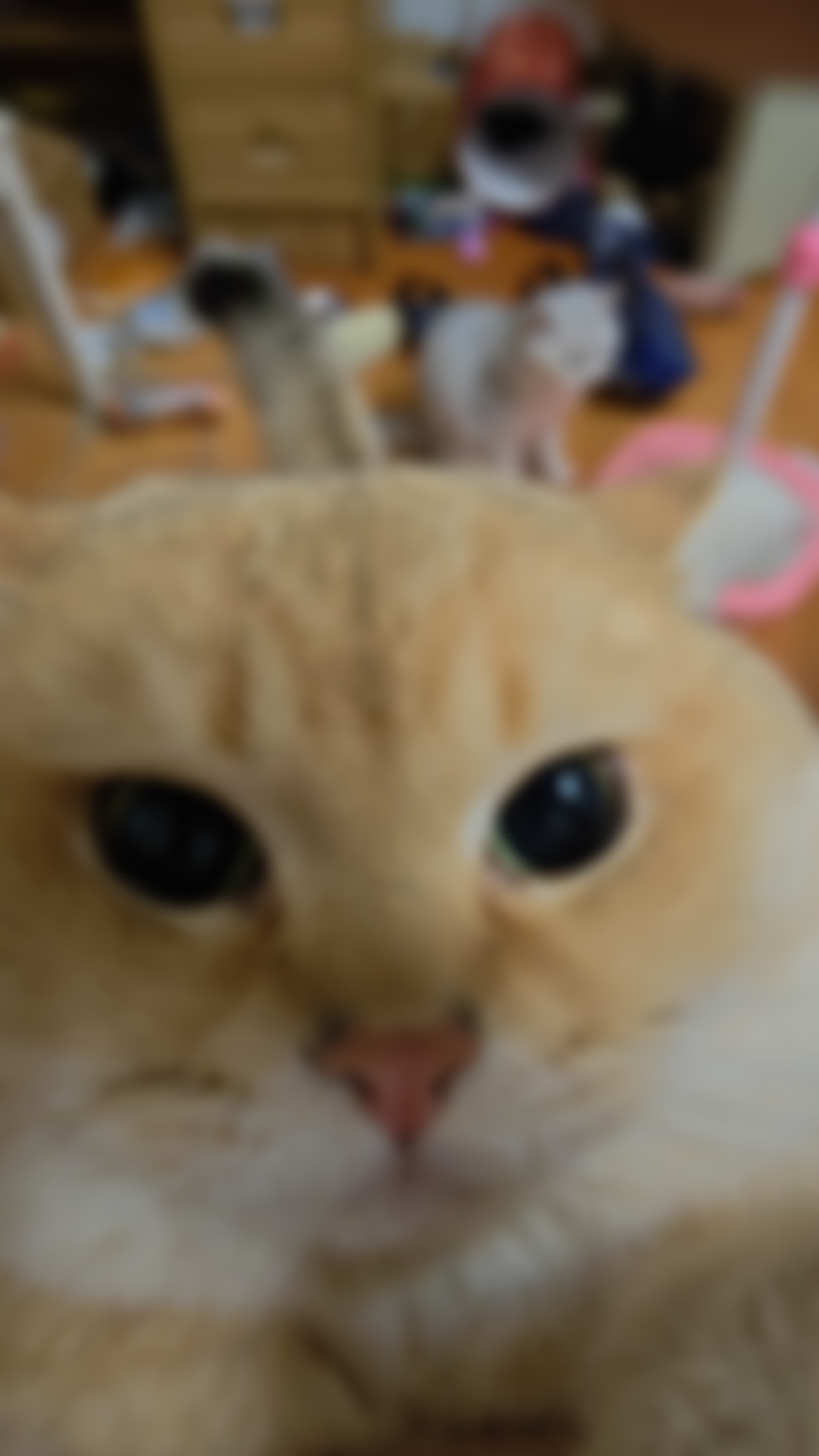 video original by Hailuo AI Video Generator