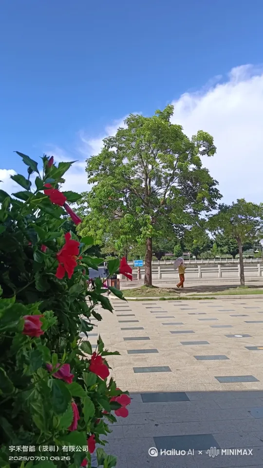 有一个狗熊从这里走过 by Hailuo AI Video Generator