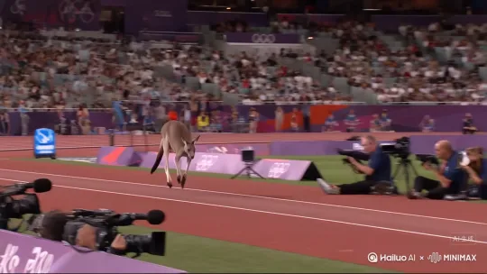 电视画面显示，一只袋鼠在奥运会上参加了跳远比赛，它在助跑后起跳线前调整姿势，后腿用力一蹬，身体高高跃起，在空中向前飞跃，最后稳稳地落在沙坑中。 by Hailuo AI Video Generator