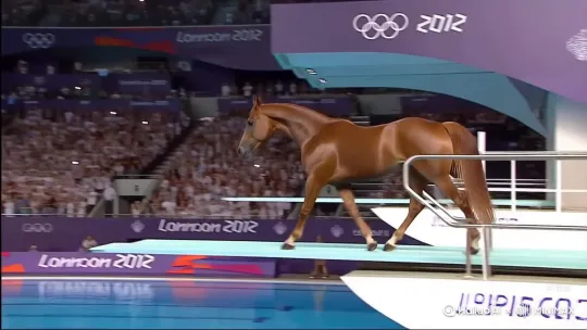 by Hailuo AI Video Generator