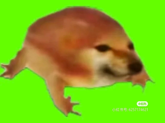 video original by Hailuo AI Video Generator