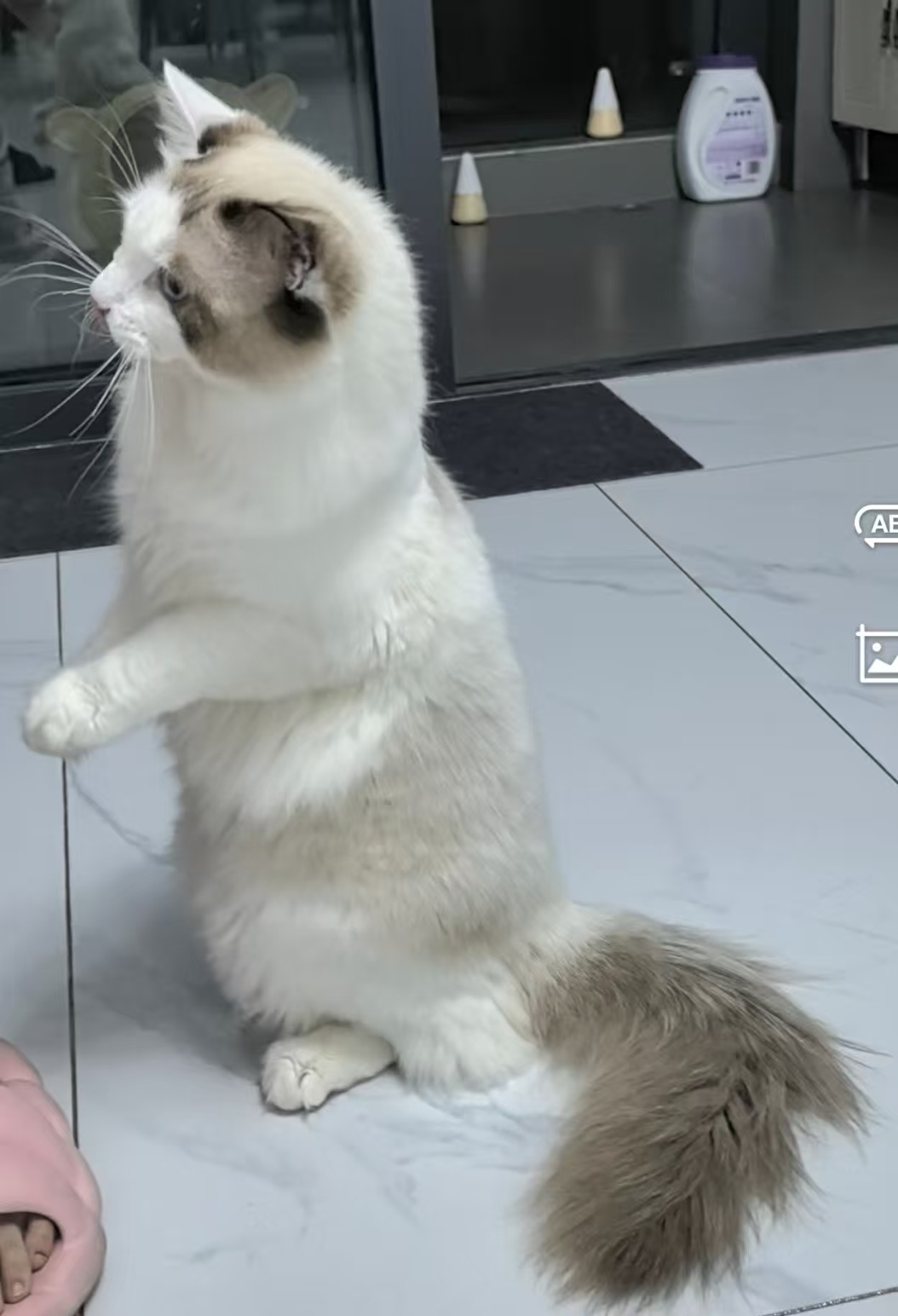 video original by Hailuo AI Video Generator