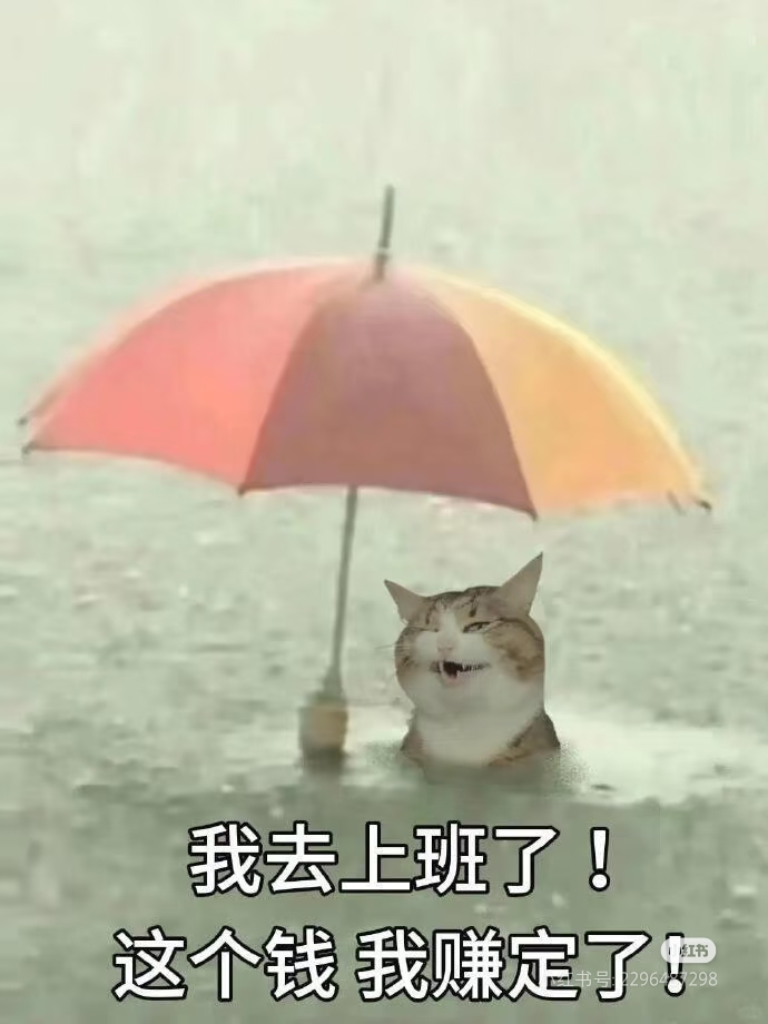 video original by Hailuo AI Video Generator