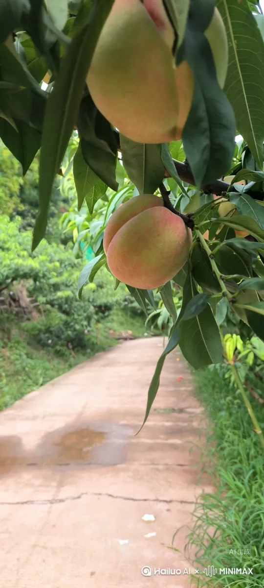 路边的野花不要采，路边的桃子可以摘。 by Hailuo AI Video Generator