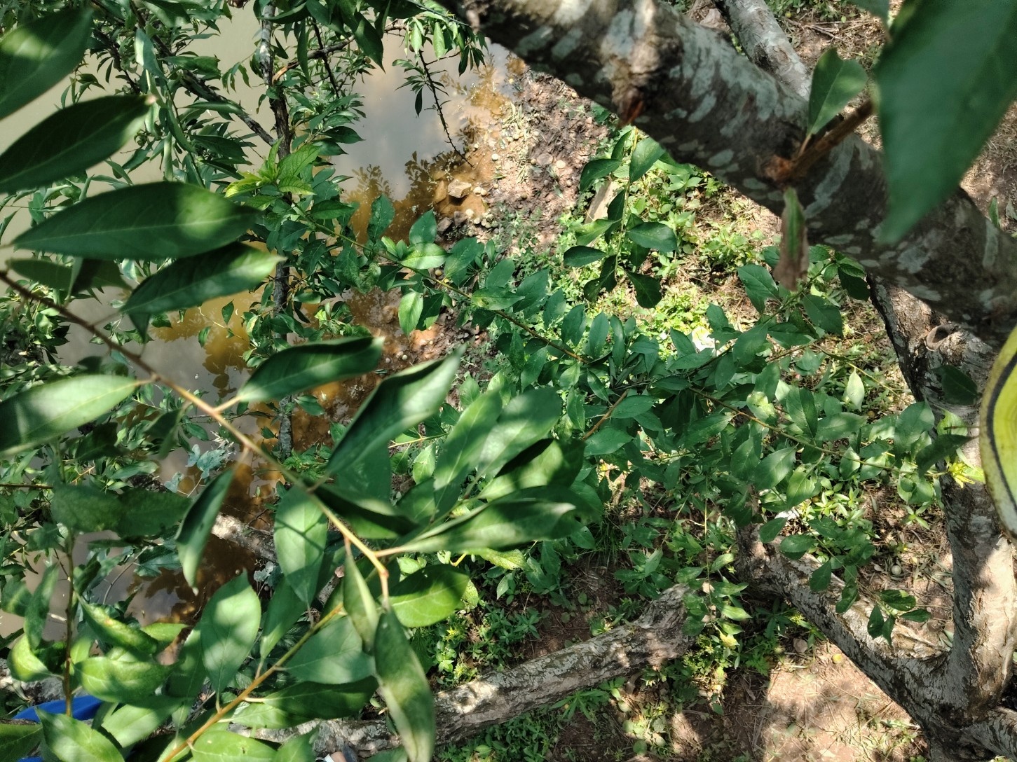 video original by Hailuo AI Video Generator