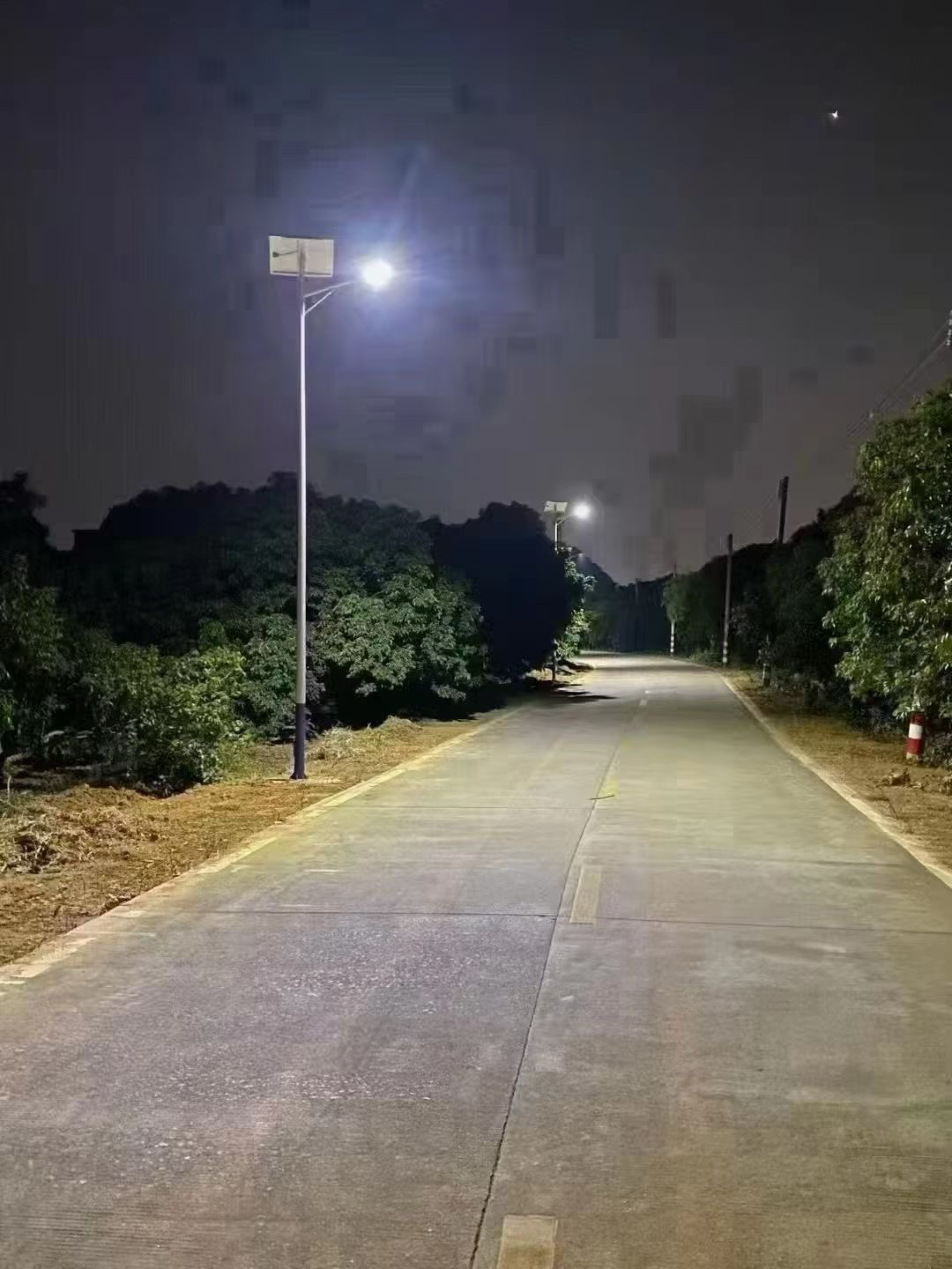video original by Hailuo AI Video Generator