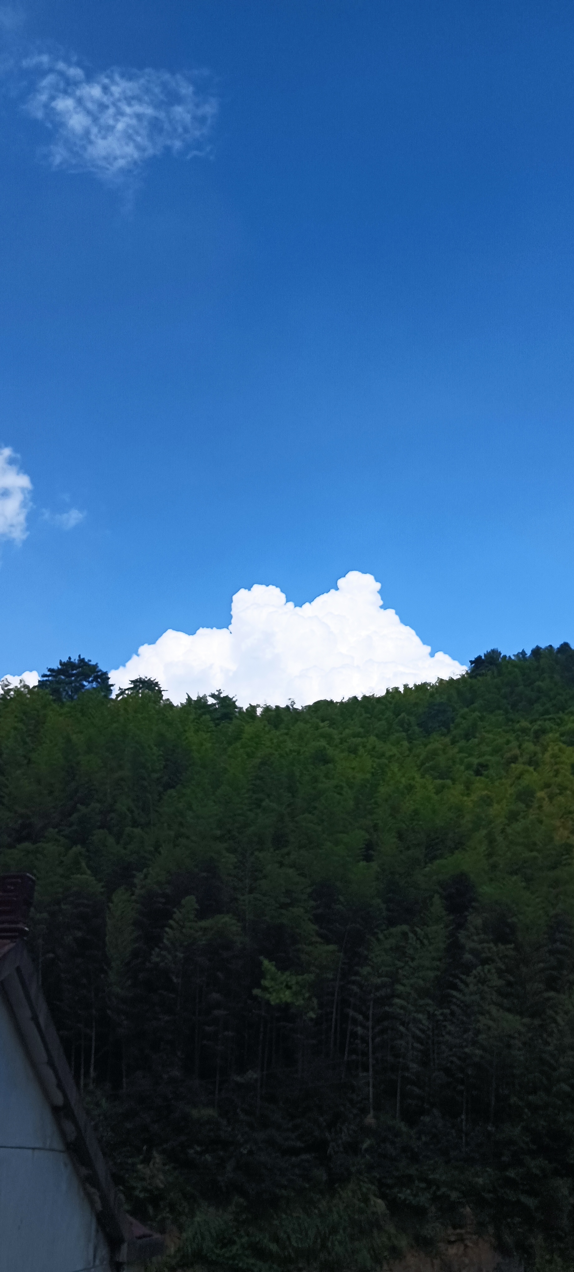 video original by Hailuo AI Video Generator