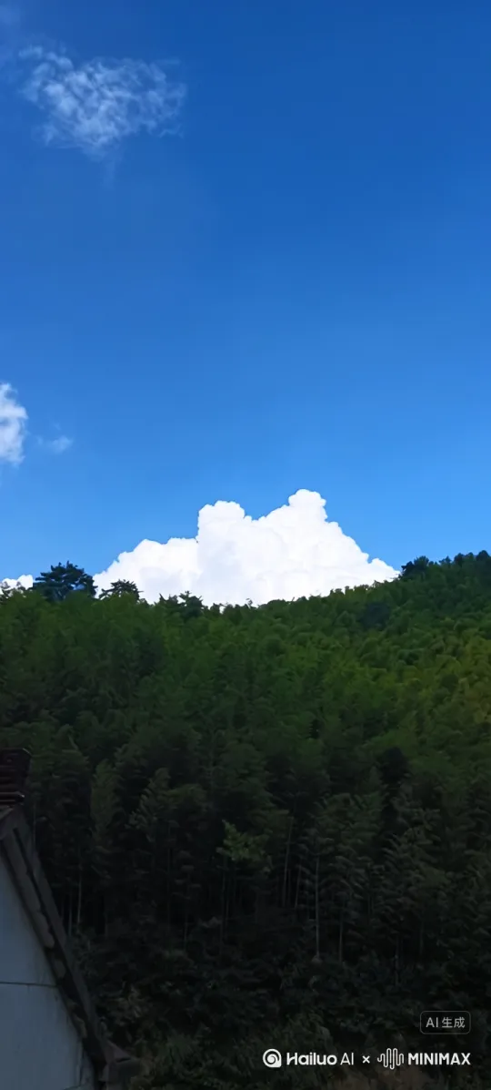  by Hailuo AI Video Generator