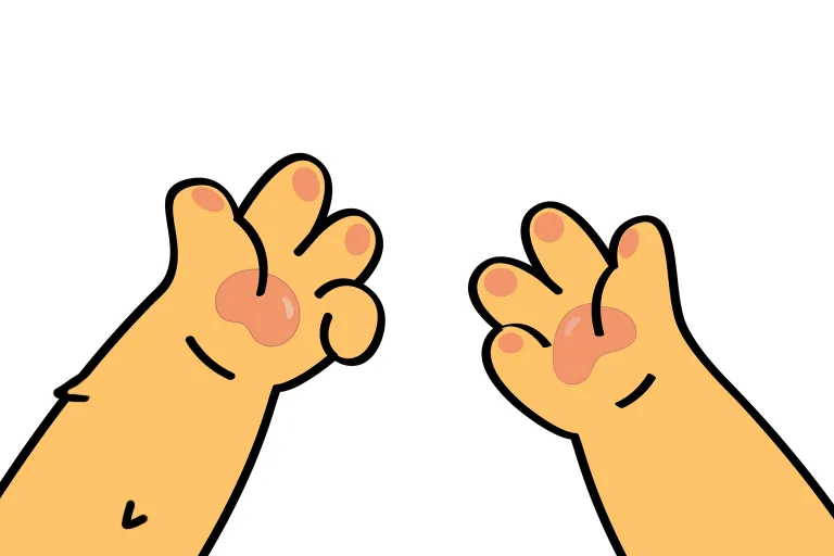 tracking-frame-icon