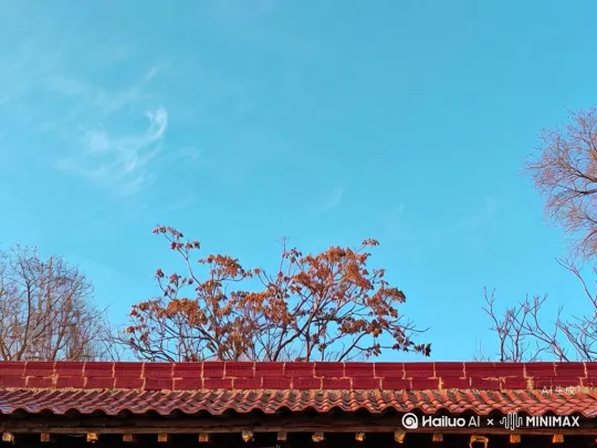 固定长镜头，房顶的砖瓦不动，天上的云缓慢移动，房屋后面的树枝随风摇摆，但非常缓慢。 by Hailuo AI Video Generator