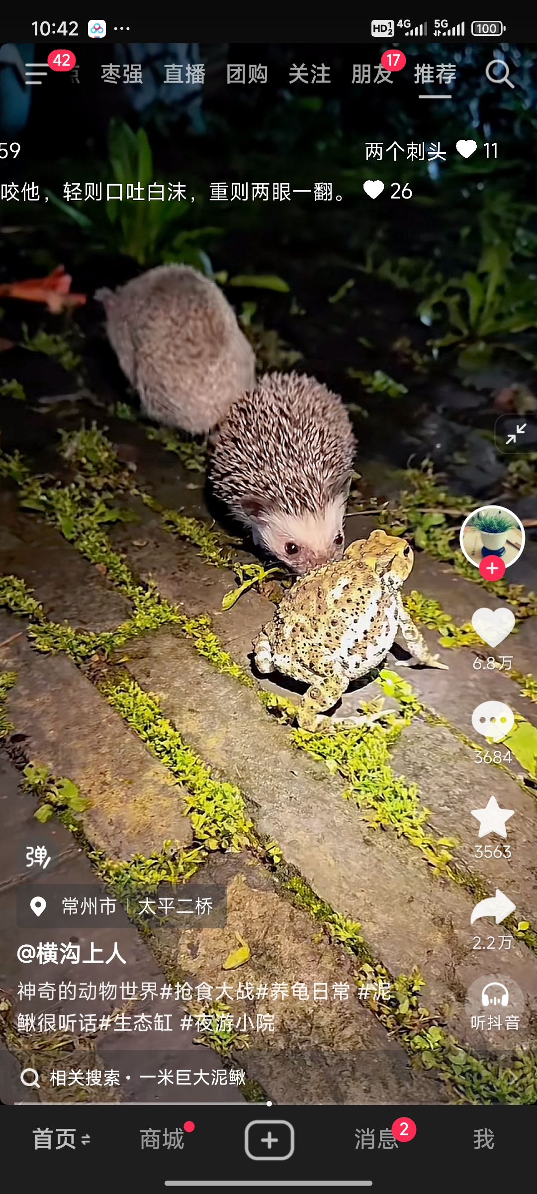 video original by Hailuo AI Video Generator