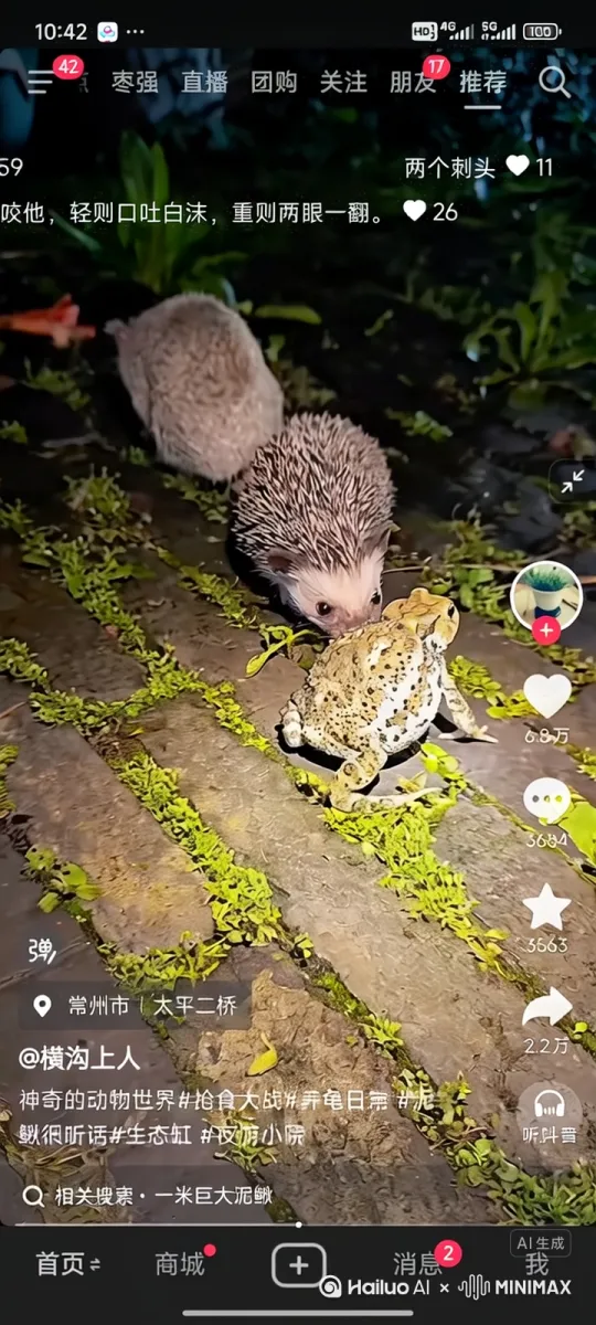 刺猬和青蛙对打的抖动视频 by Hailuo AI Video Generator