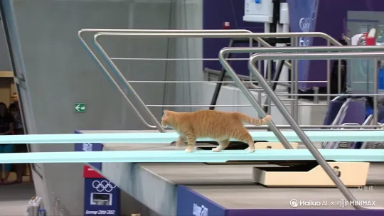 电视镜头,:在奥运会跳水赛场,一只胖橘猫从高达10米、造型精致旦稳固的跳水板一端缓缓走来。接着橘猫突然发力,纵身一跃,在空中瞬间展示了令人惊的体操式跳水表演。先是优雅地起跳,紧接着身体开始快速翻转。在
翻转的同时,它还巧妙地融入了各种旋转动作,时而侧
身旋转,时而垂直旋转。
随看下落速度的加快,橘猫巧妙地调整看自己的姿态,为入水做好最后的准备。最终,它以一个近乎完美的姿势,笔直地扎入清澈见底的游泳池中,溅起水花,
结尾镜头,猫咪从水中浮出水面甩头 by Hailuo AI Video Generator