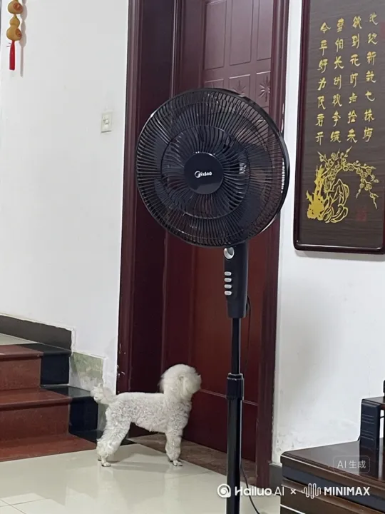 小狗为了进门，扔出一颗手雷，把门炸开一个大洞，然后跳进了门里 by Hailuo AI Video Generator