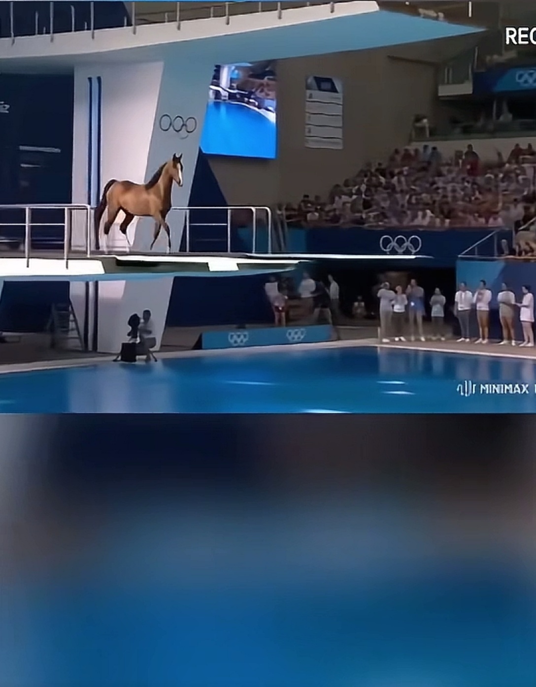 video original by Hailuo AI Video Generator