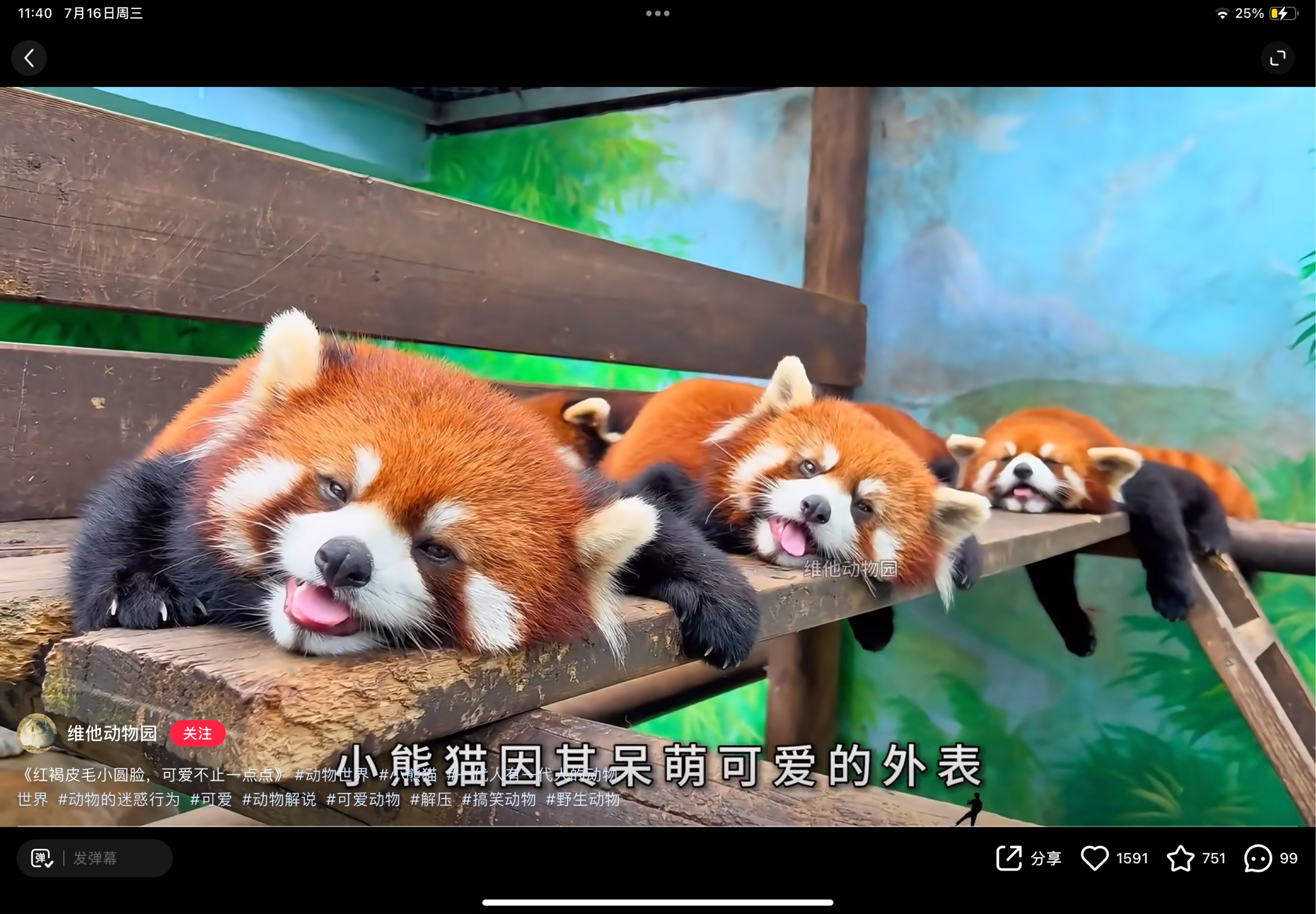 video original by Hailuo AI Video Generator