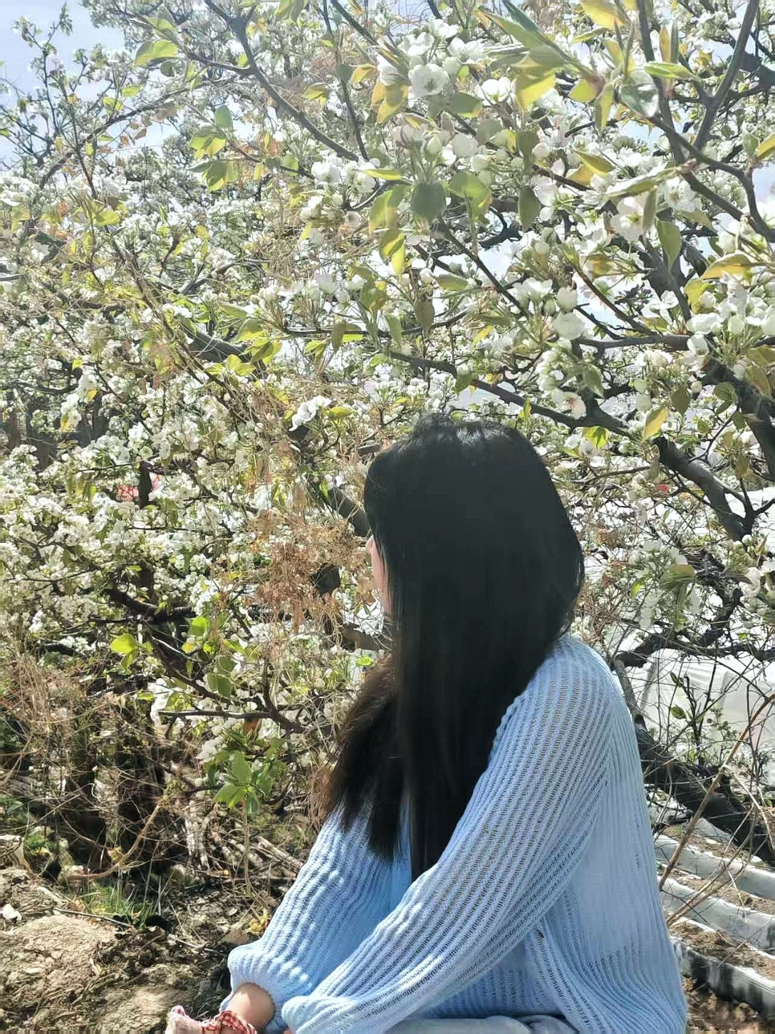 video original by Hailuo AI Video Generator